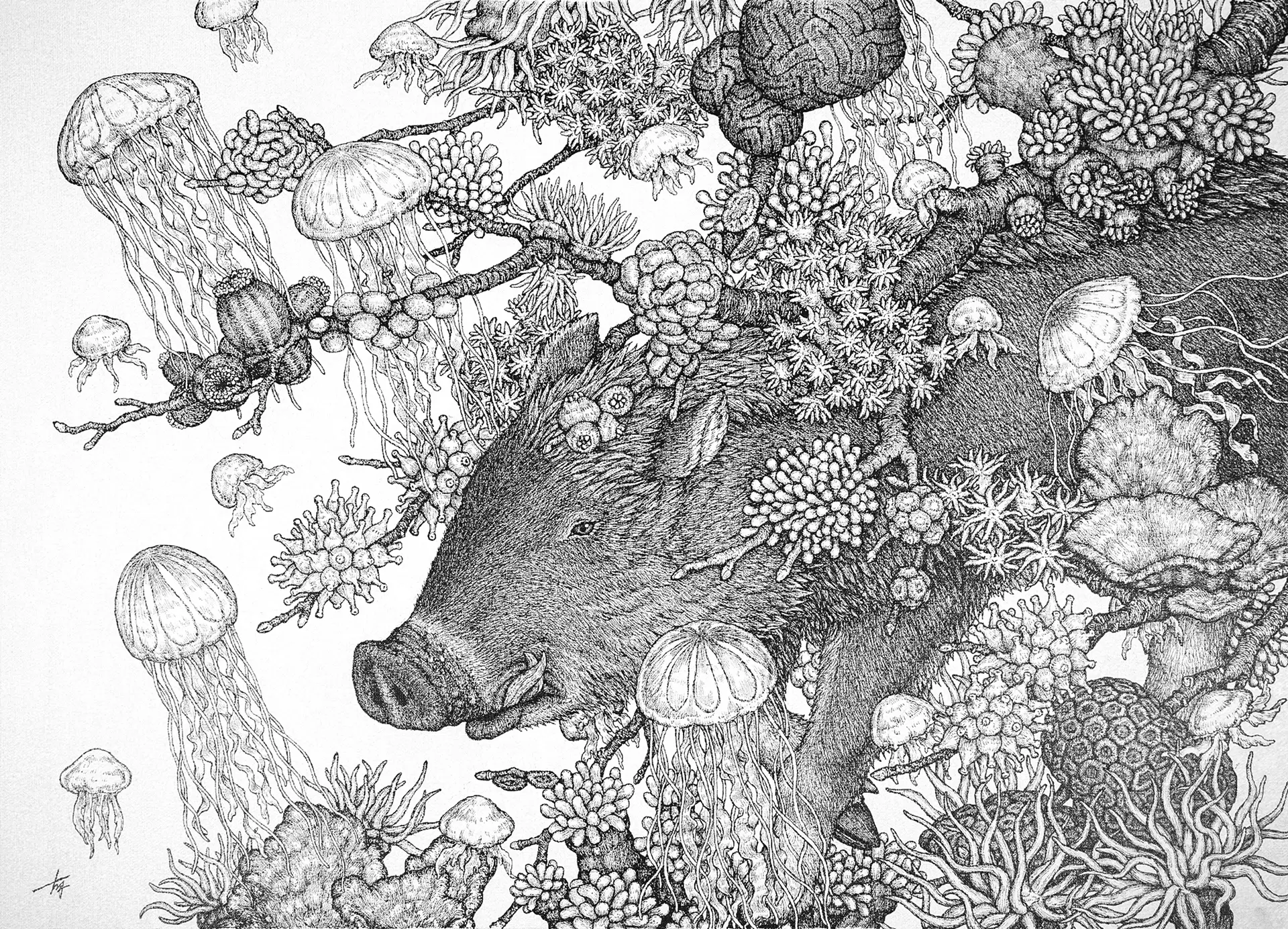Cnidaria Forest -Boar-