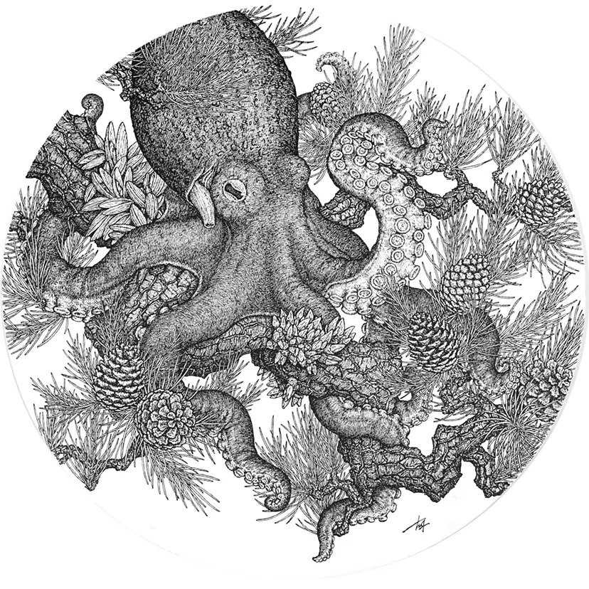線画・drawingのアート作品 | 現代アートの販売・通販