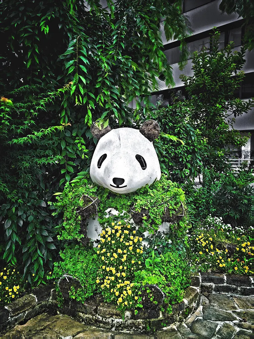 Green day - PANDA - by Yasuhito Shigaki