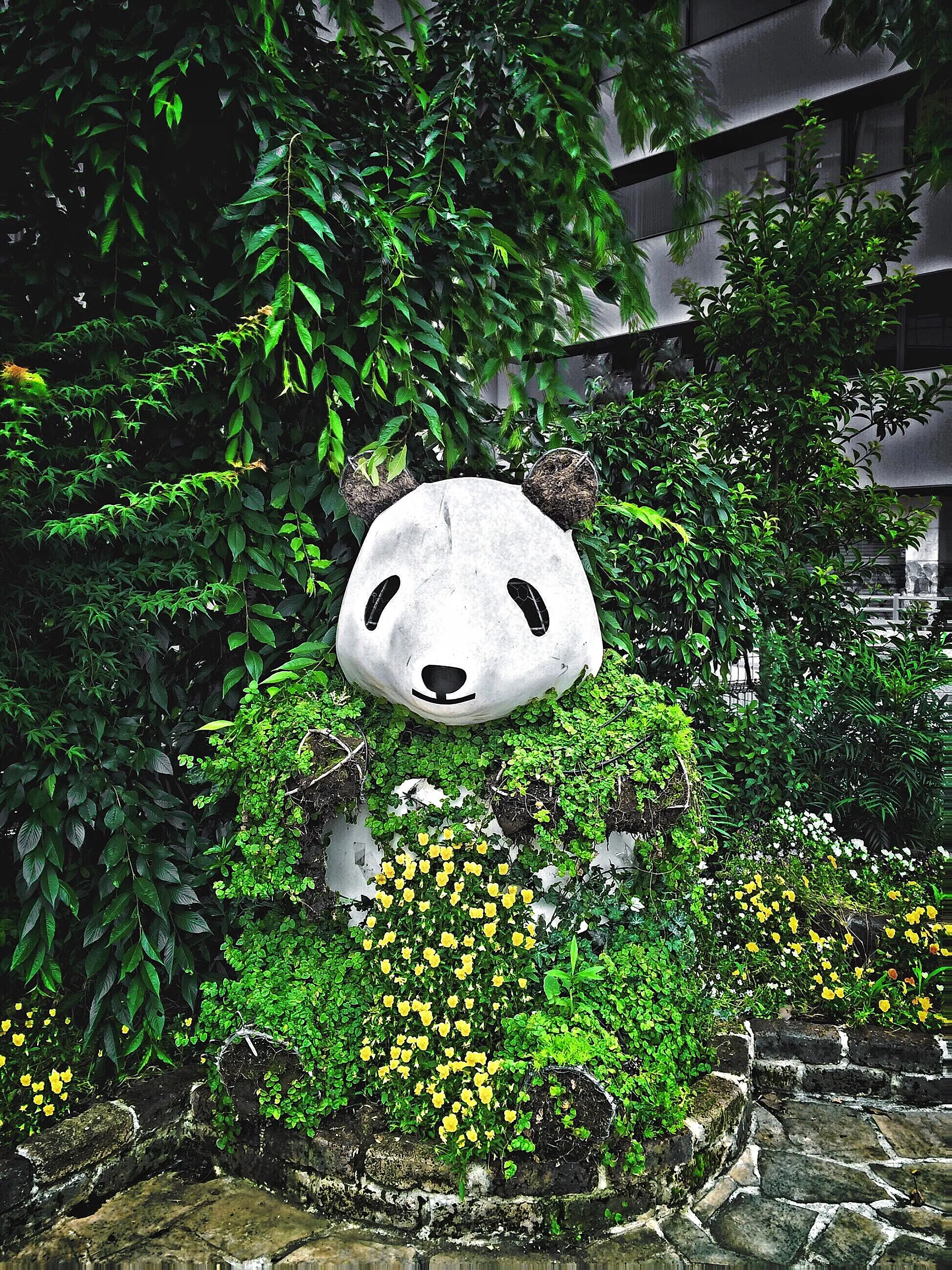 Green day - PANDA -