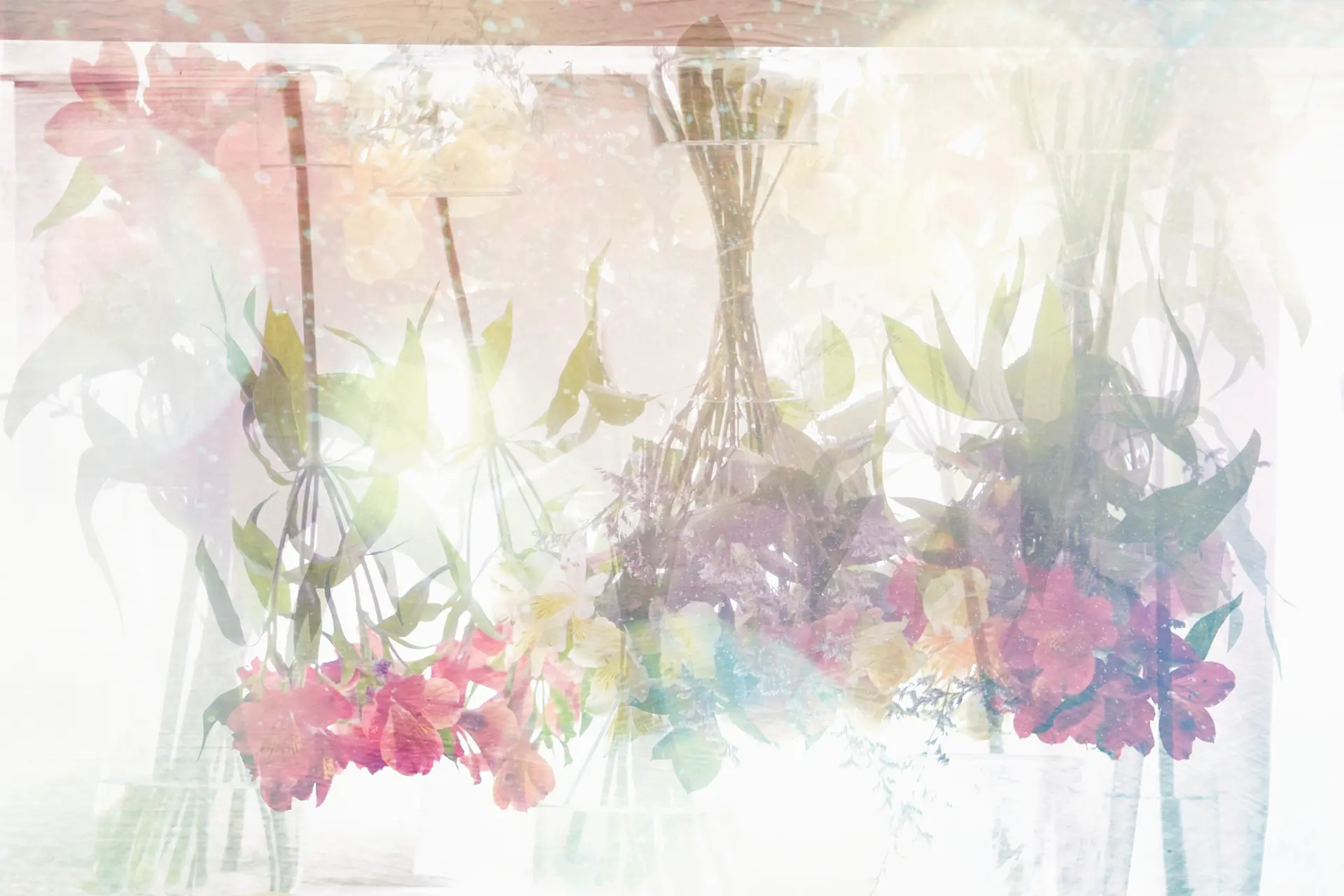 Paradigm Shift by Priscilla Lei | Online art store for contemporary art |  ArtSticker