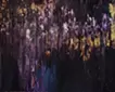 夜滝