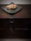遺された獣