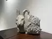 玉卯
