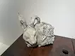 玉卯