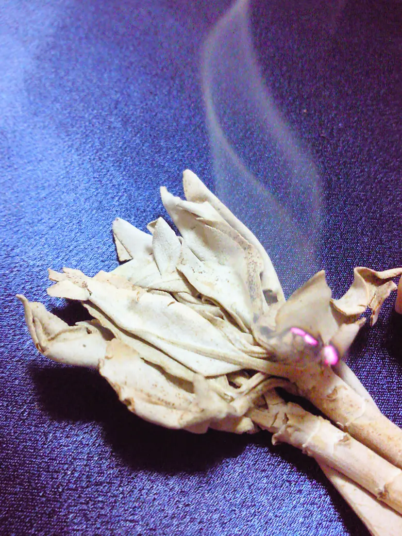 ”そこにある花”～sage scent～ by naomi