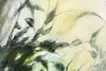 在森林里