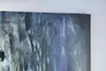 在森林里