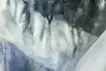 在森林里