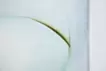 我知道（就像我们在见面之前分享的回忆。）