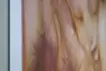 蛞蝓