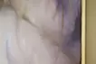 蛞蝓