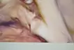 蛞蝓