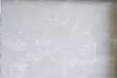 蛞蝓