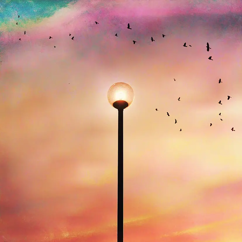Freedom Bird - Sunset - by Yasuhito Shigaki