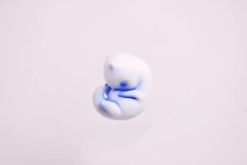 little moon by 堀内 マキコ
