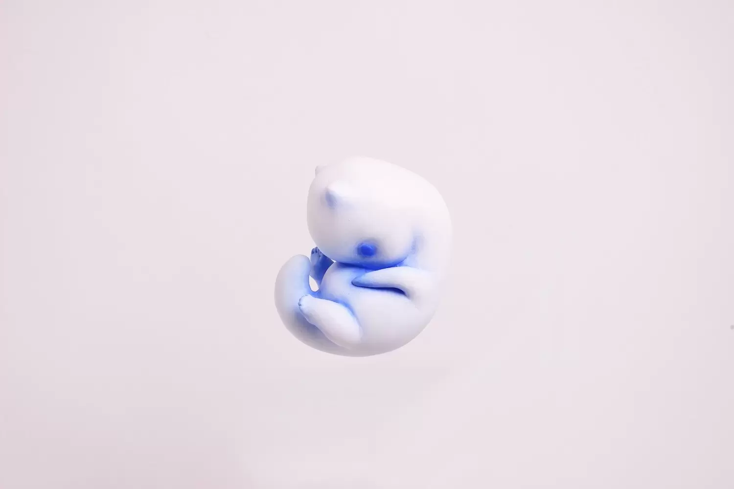 little moon