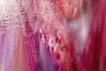 emerged