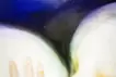 看看吧（用手感受一下）
