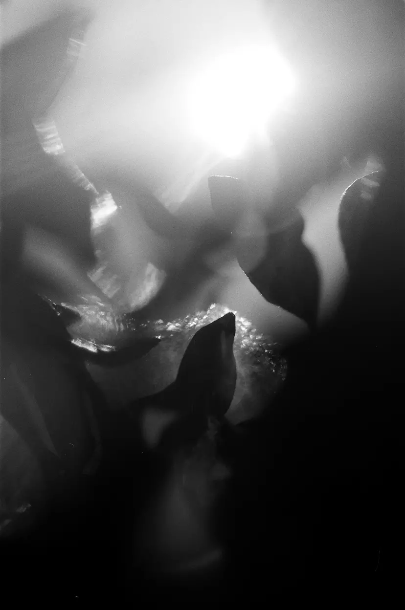 暗闇の太陽　01 by 田中亜紀 （AKITANAKA ）　ぷらっとphoToほーむ（PlaTphoToHome）
