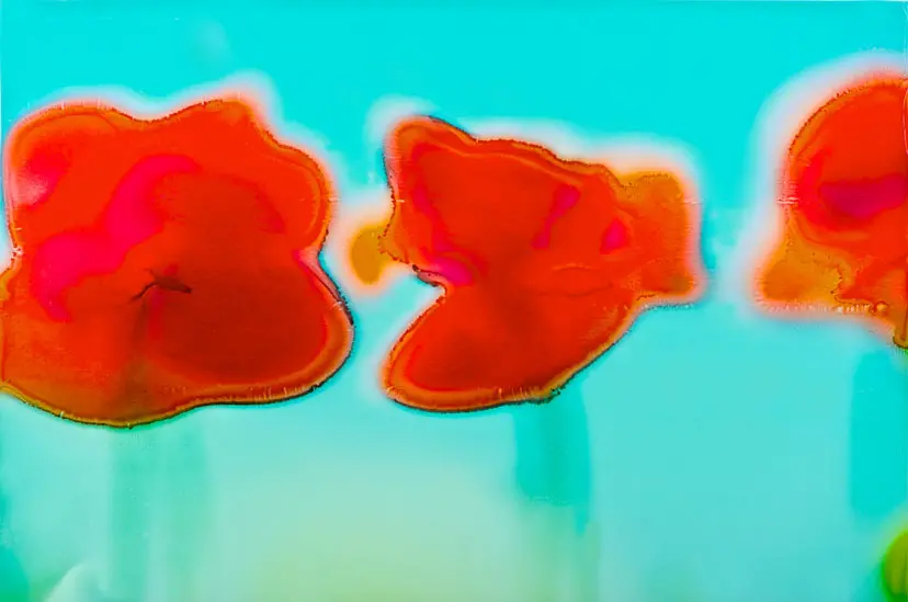 Melting Petals 03