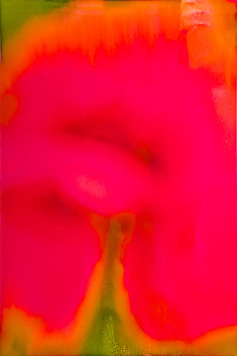 Melting Petals 27 by Sarah Fujiwara 藤原更