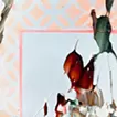 Etude #13 (Fixed Window)   