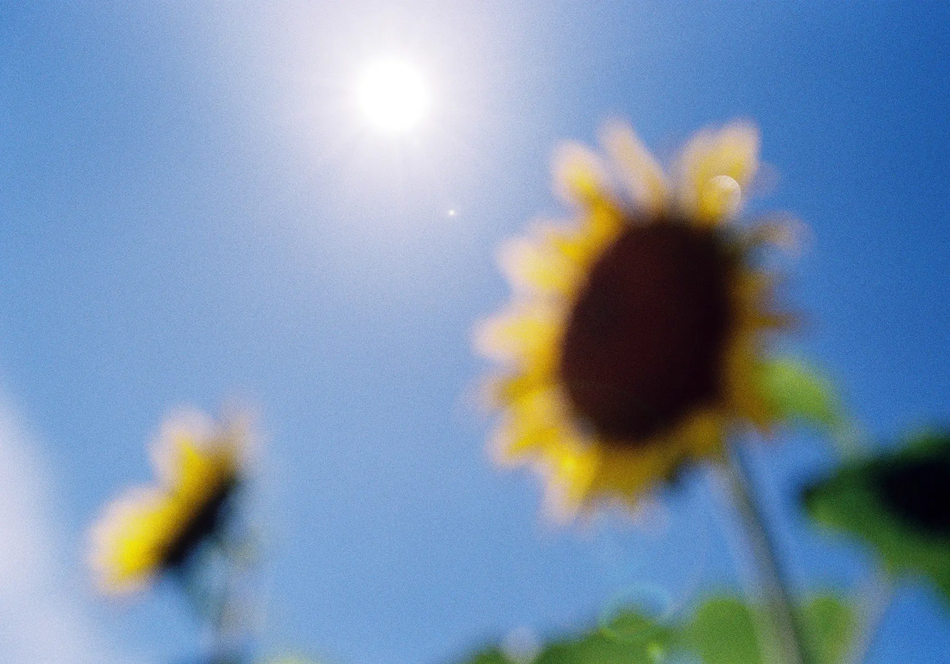 2つの太陽　　
