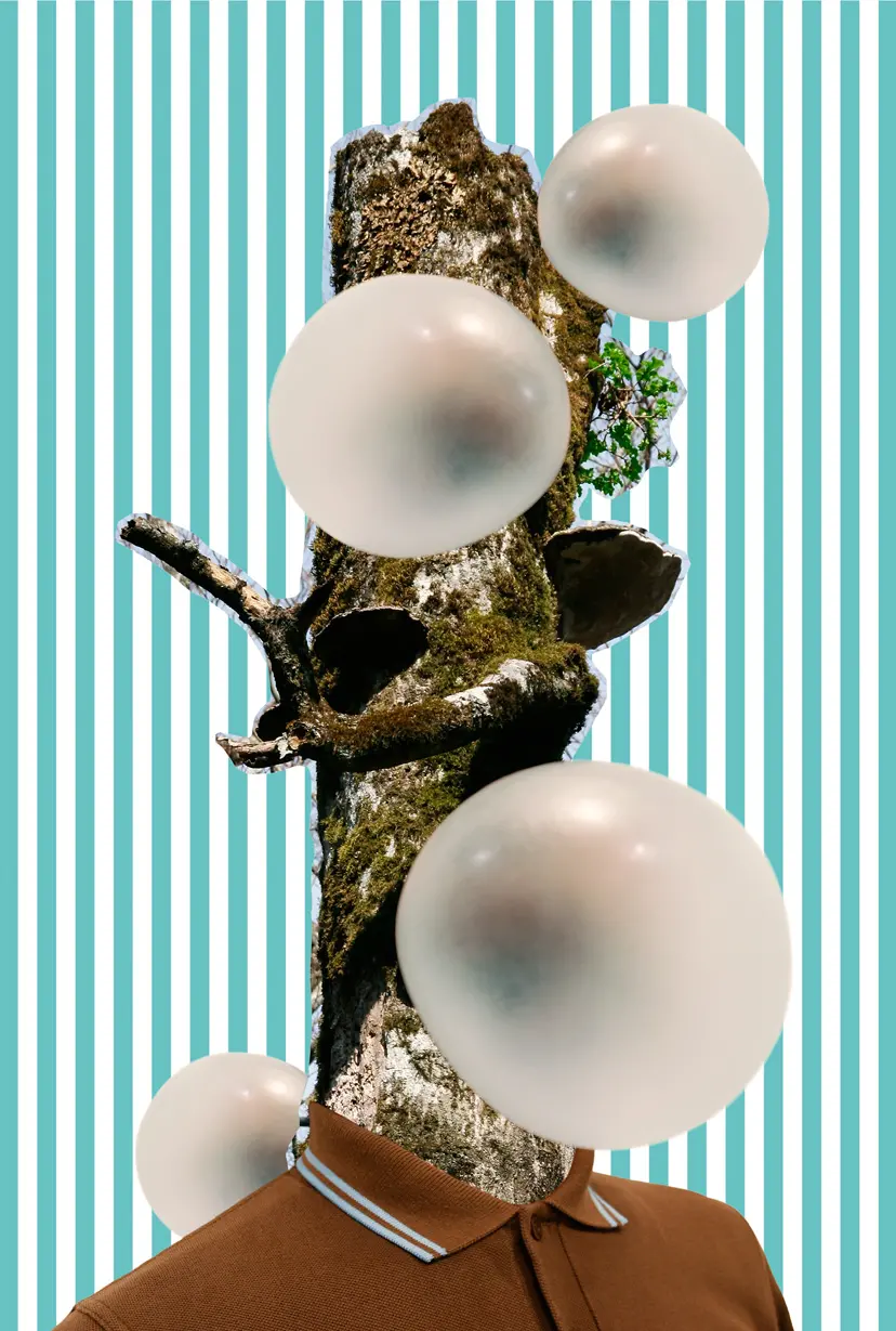 Bubble Buna（Beech） by セサミスペース