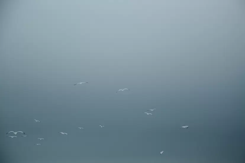 Unbeknown by Yoko Naito