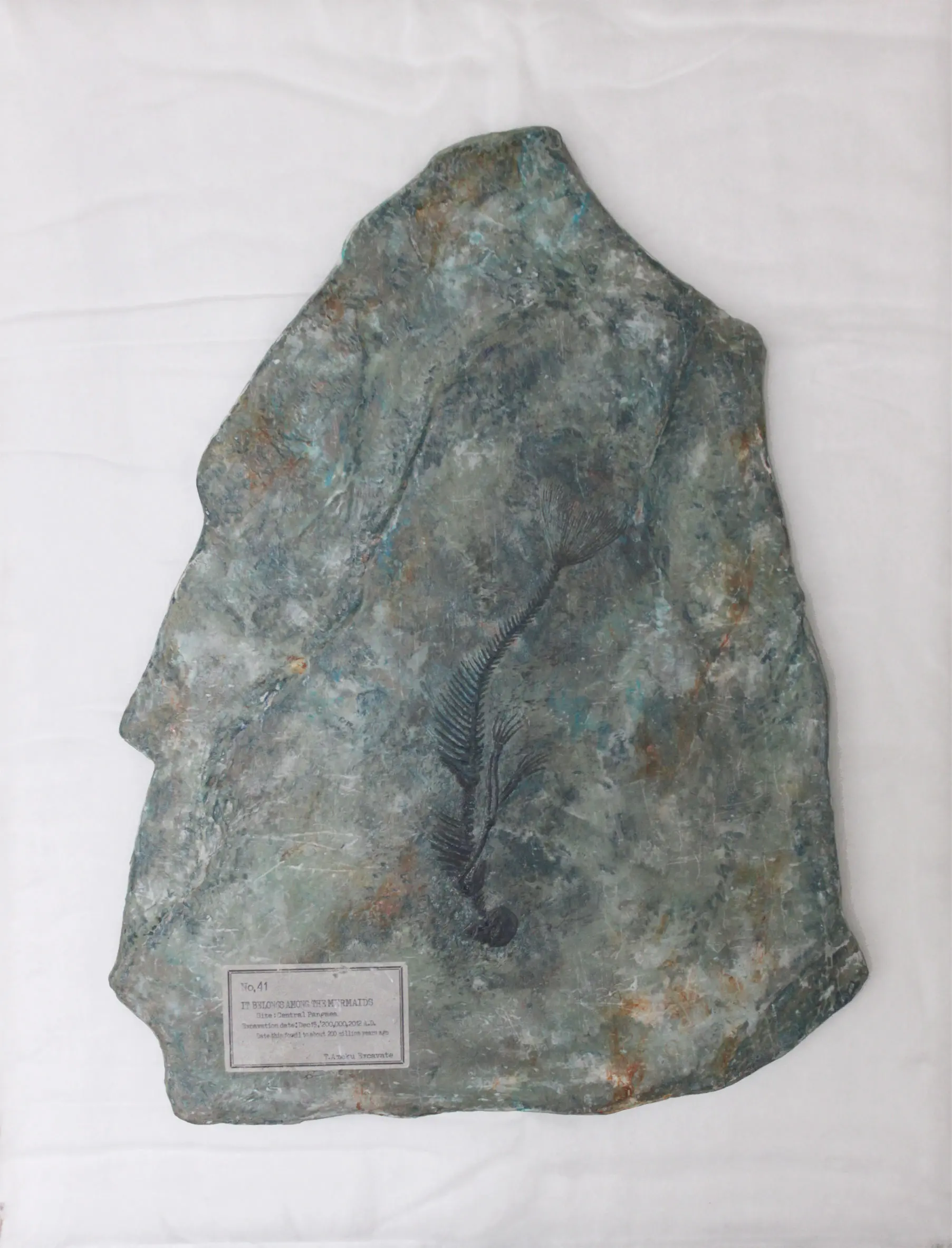マーメイドの一種 “IT BELONGS AMONG THE MERMAIDS”