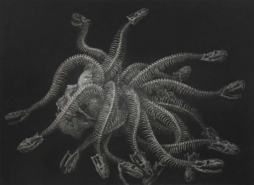 メドゥーサの頭骨化石の図 by 天久 高広 | 現代アートの販売・通販