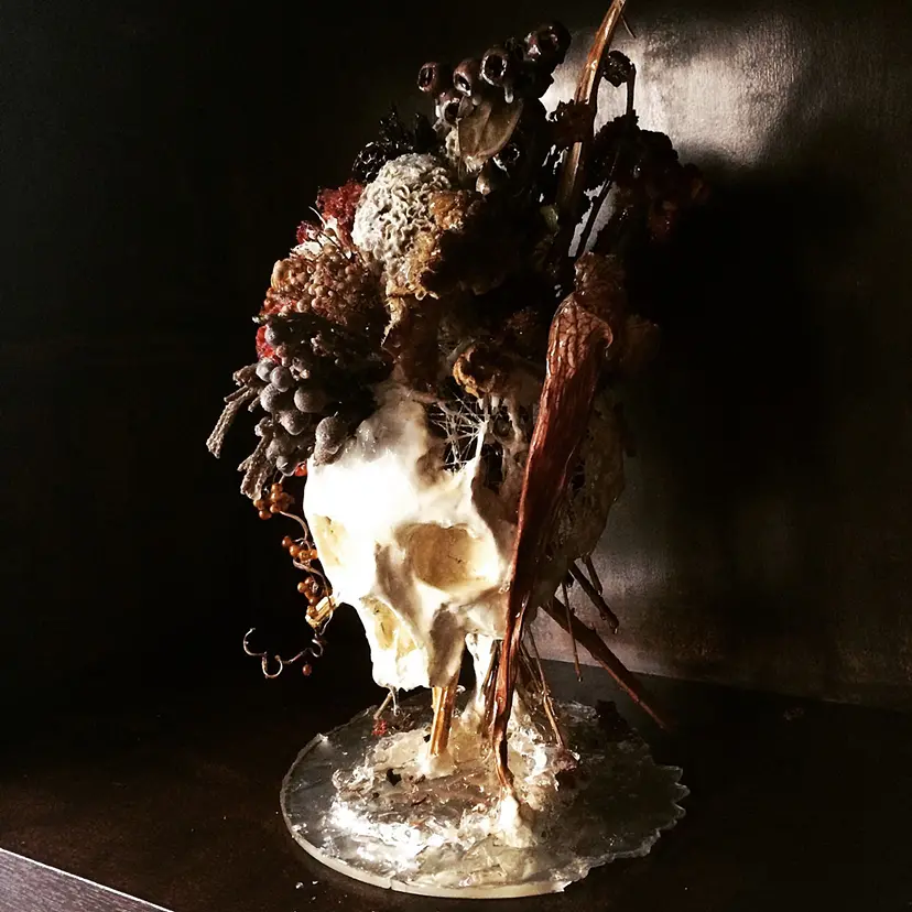 Skull of Flower by キリク