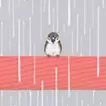 Torii