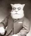 Enrico the Cat