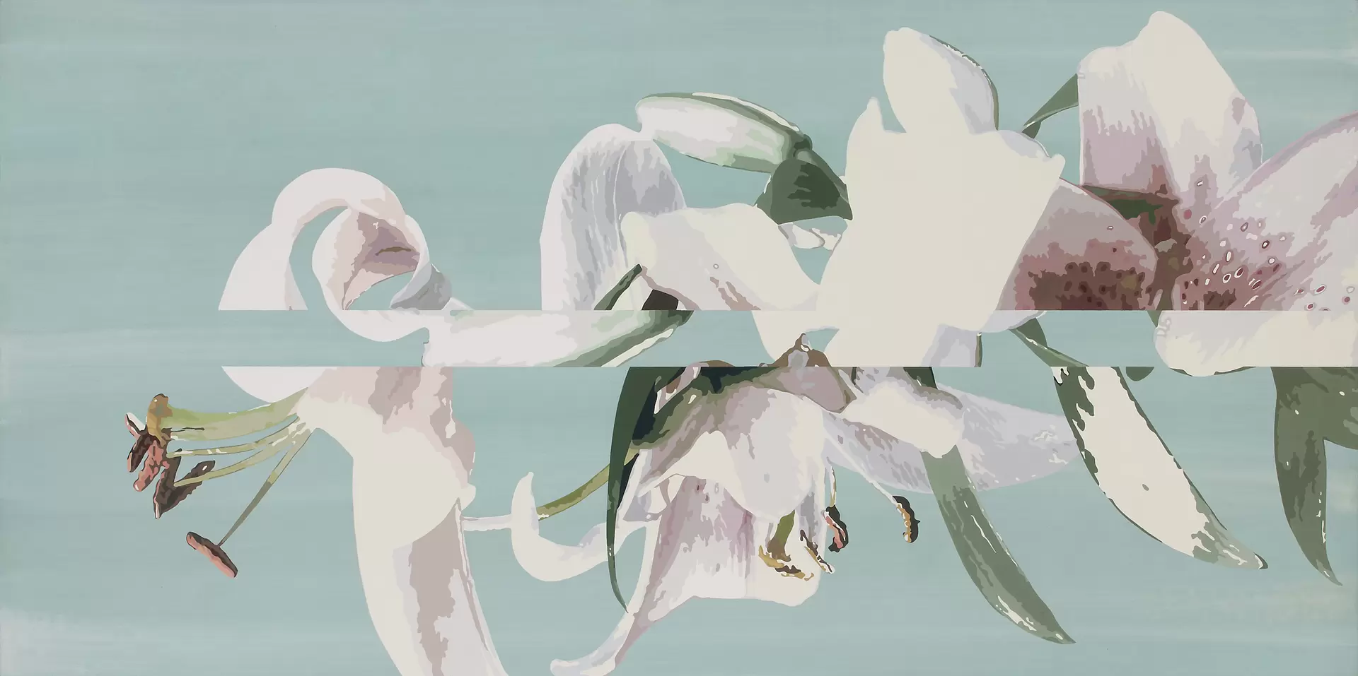 Lily 1200-600