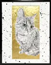 哲学する猫 (Stay Gold)