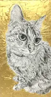 哲学する猫 (Stay Gold)
