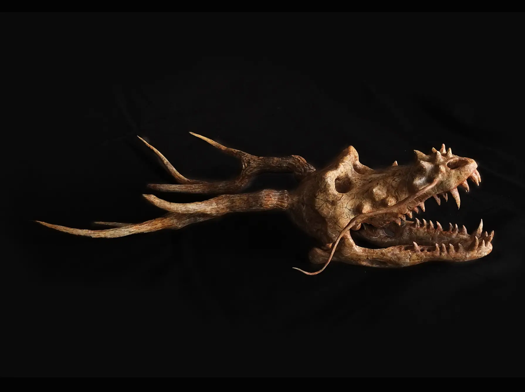 ドラゴンの一種 “IT BELONGS AMONG THE DRAGONS