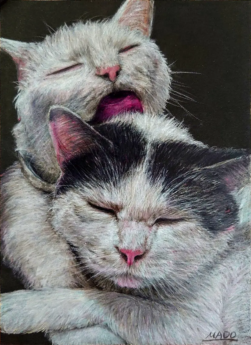 仲良し by 長谷川まどか（MADO）の購入 | 現代アートの販売・通販