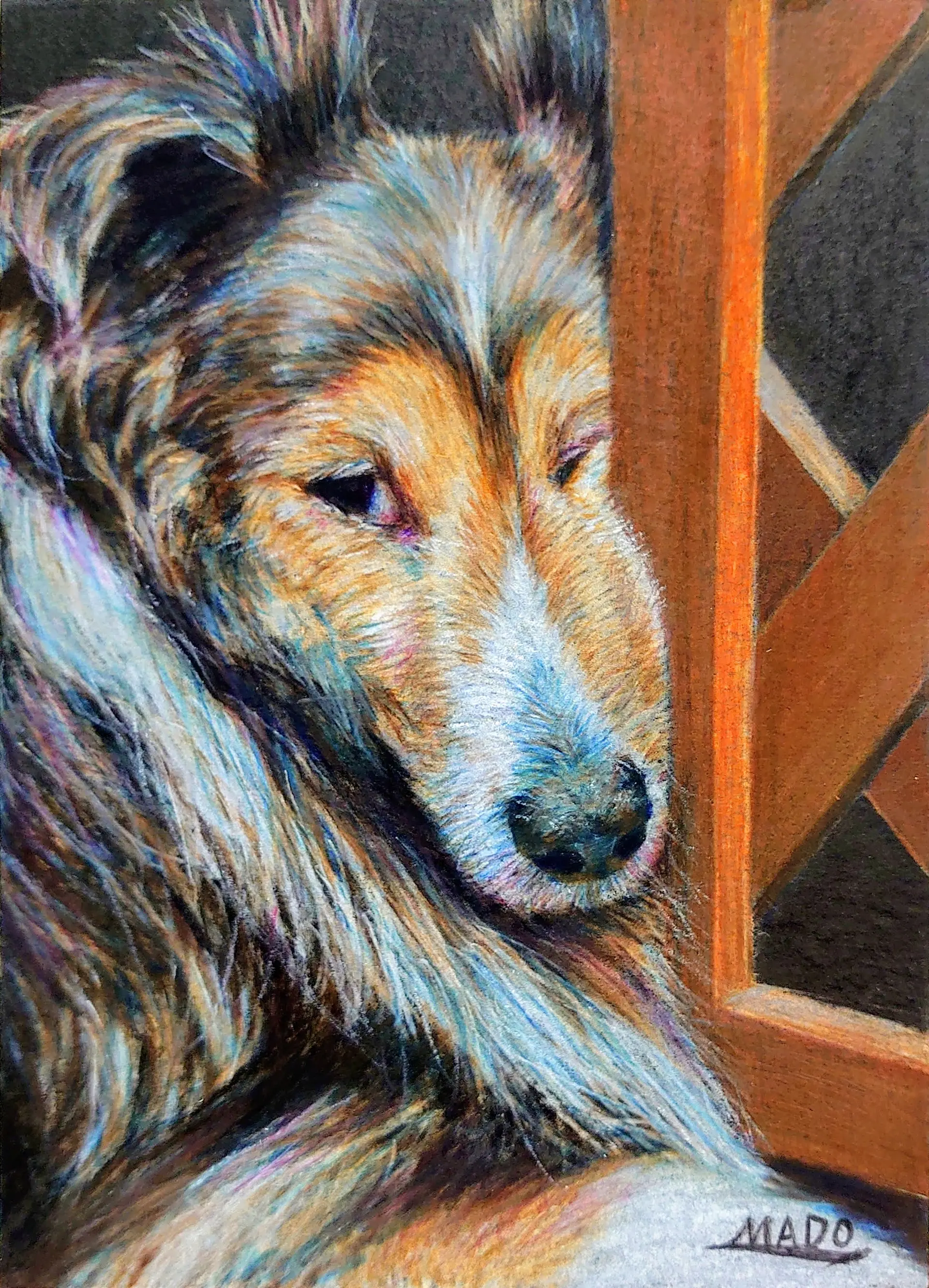 ふてくされる犬