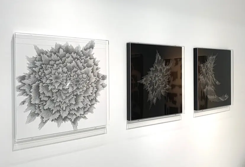Emergence -Form- / #1,#2,#3 by 川上 幸子