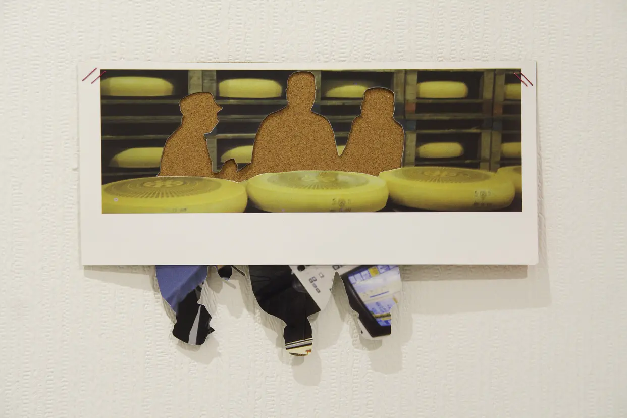 Catalog (cheese factory)