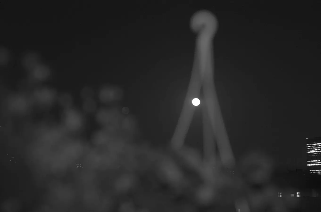 フラワームーン 東京 2020
