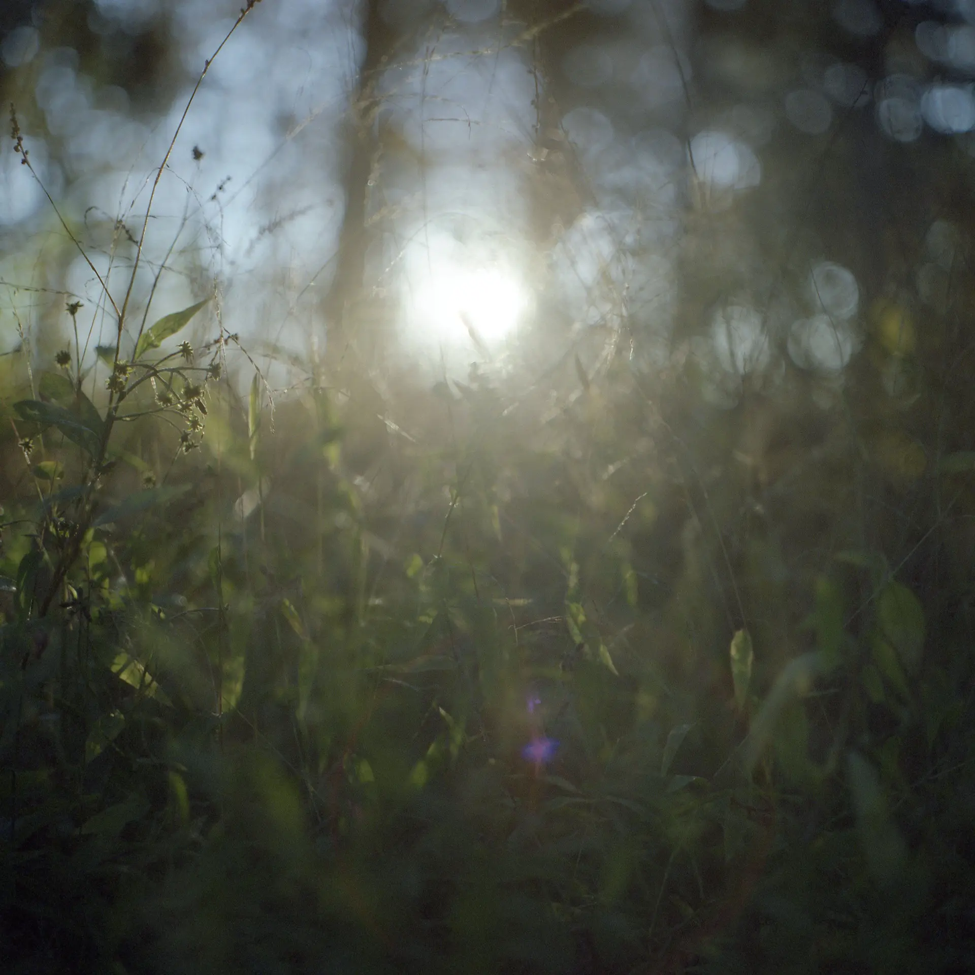 Looking for light #2