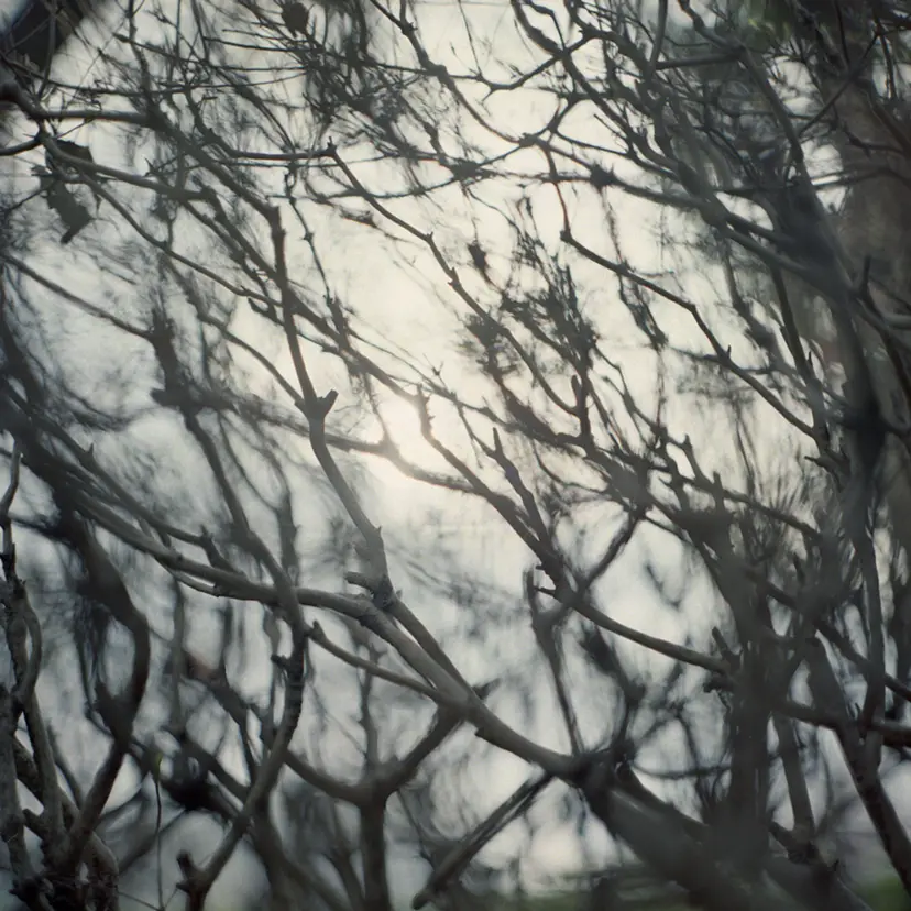 Looking for light #4 by 三井 彩紗 Ayasa Mitsui