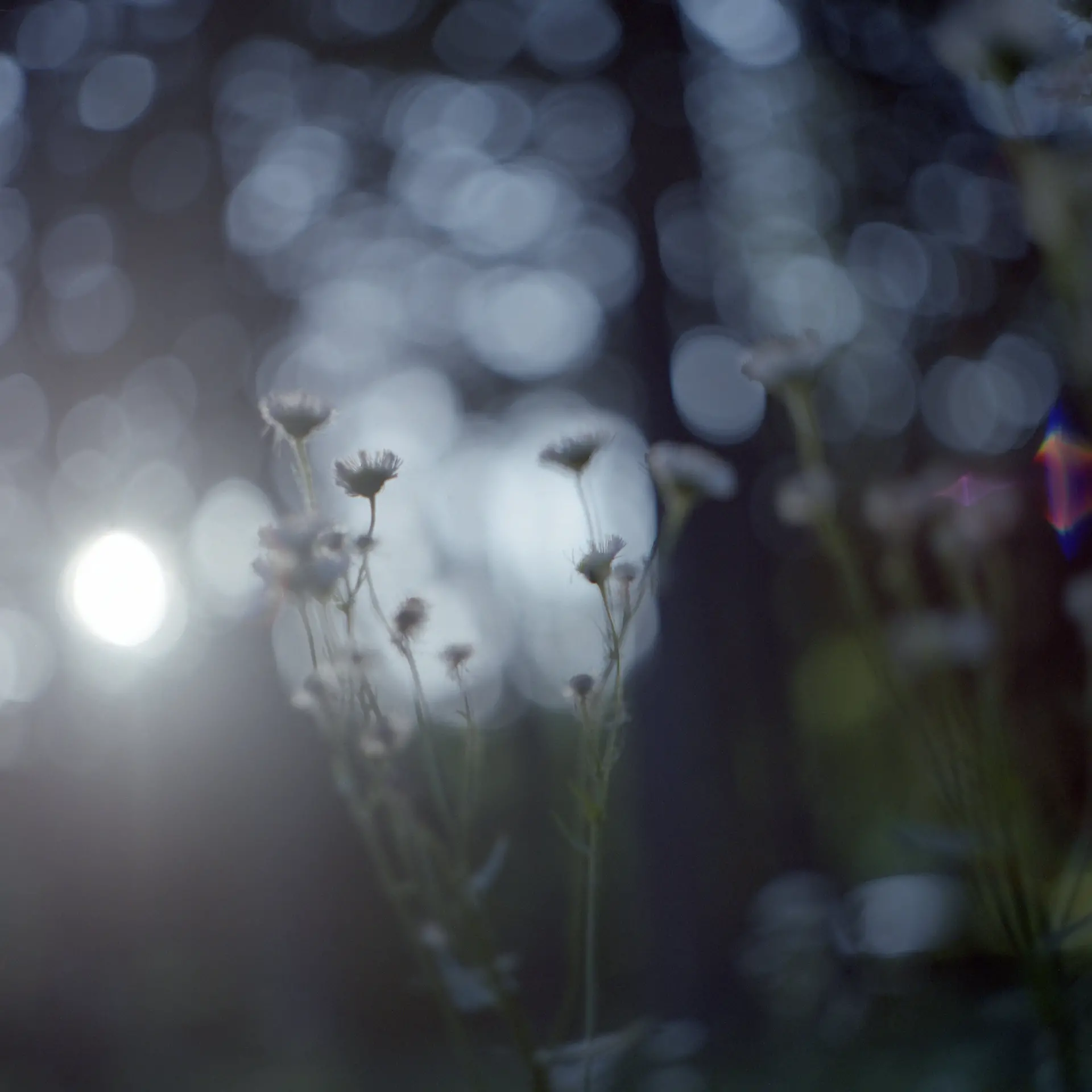 Looking for light #6