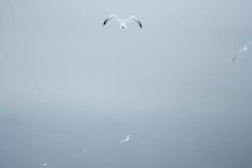 Unbe known - winter seascape by Yoko Naito