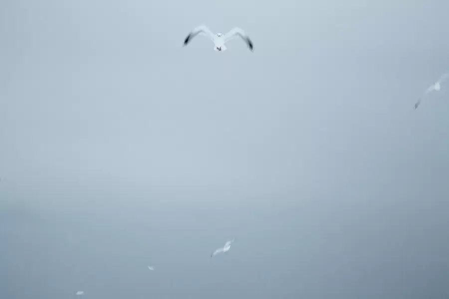 Unbe known - winter seascape