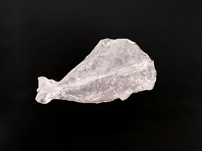 変身物語 METAMORPHOSES #3 Pâte de verre 3 by 平野 真美